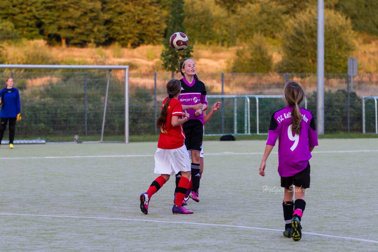 Bild 226 - C-Juniorinnen FSC Kaltenkirchen - SV Wahlstedt : Ergebnis: 1:8